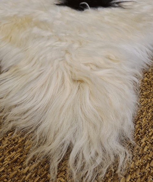 Close up image of the black and white natural sheepskin