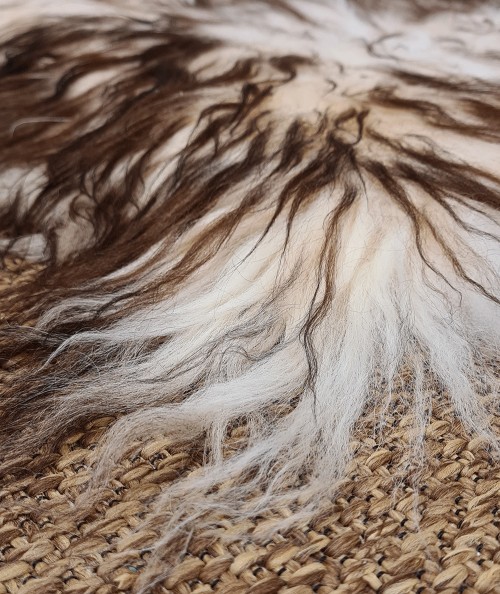 Close up image of the two colour brown and cream Icelandic sheepskin